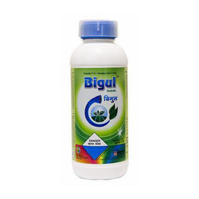 Bigul